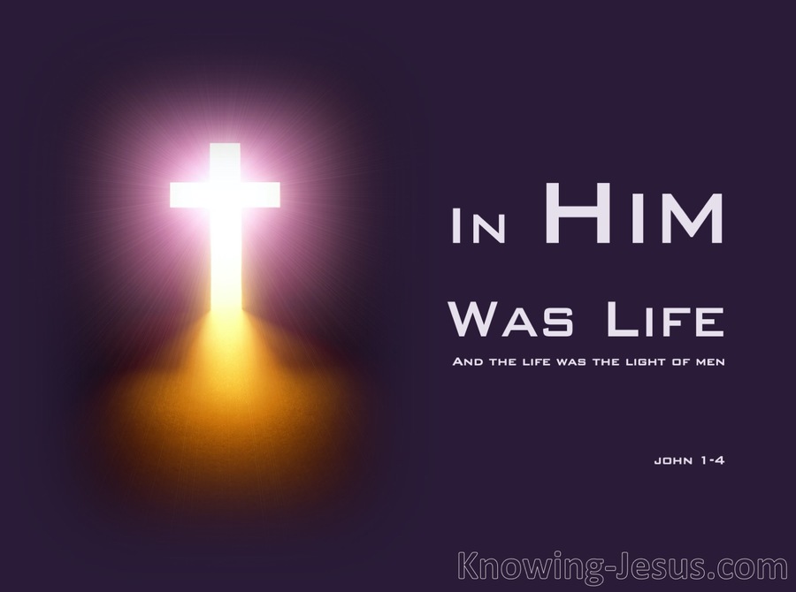 John 1:4 In Him Was Life (purple)
